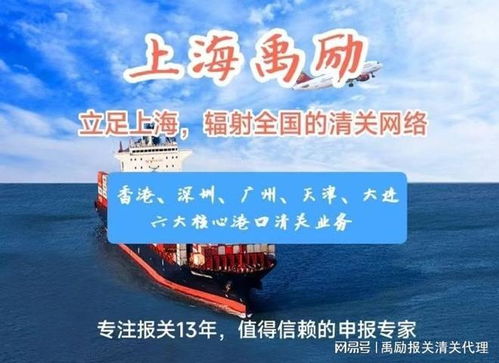 上海出口代理報關服務 專業商務代理，助您高效通關